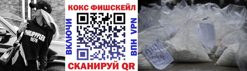 как найти закладки  Порхов  COCAIN Fish Scale 