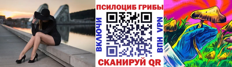 что такое наркотик  Порхов  Галлюциногенные грибы Psilocybe 