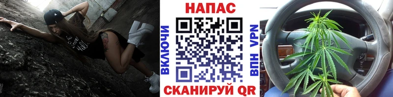 продажа наркотиков  Порхов  MEGA маркетплейс  Бошки марихуана White Widow 